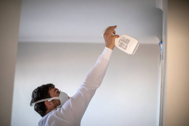 Best Post-Remediation Services in Tashua, CT